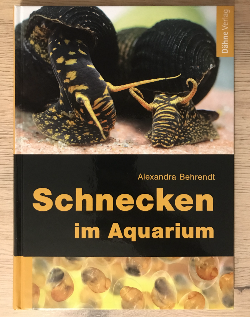 Foto des Buches Schnecken im Aquarium von Alexandra Behrendt